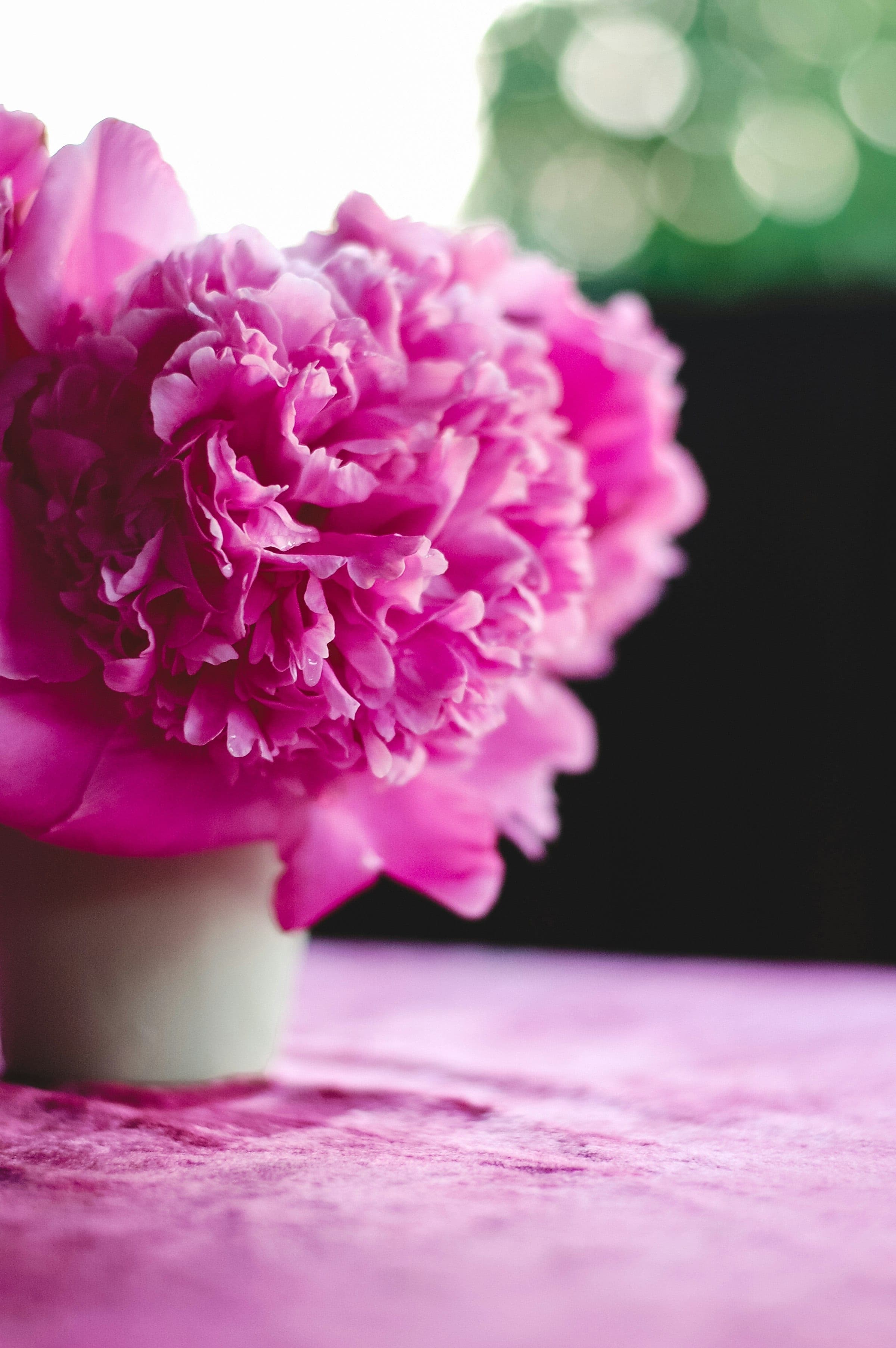 Peonies & Candlelight